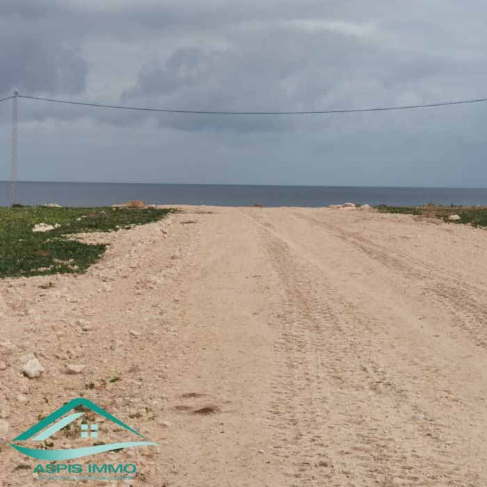Kelibia Dar Allouche Terrain Terrain nu Vt782terrains  dar allouche 100 m de plage