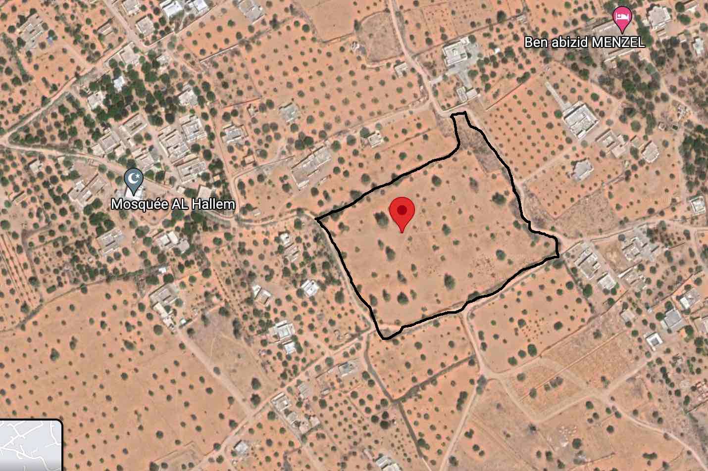 Djerba - Midoun El May Terrain Terrain agricole Ferme 3 hectares jerba