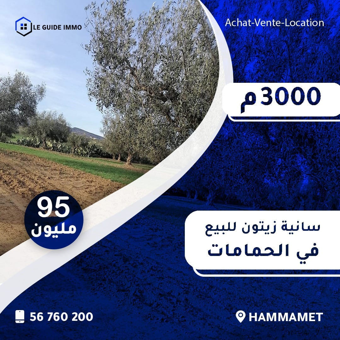 Hammamet Sidi Jedidi Terrain Terrain agricole Senia  sidi jedidi