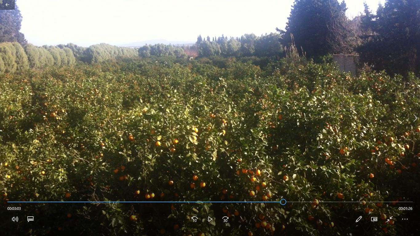 Menzel Bouzelfa Menzel Bouzelfa Terrain Terrain agricole Senya  menzel bouzelfa