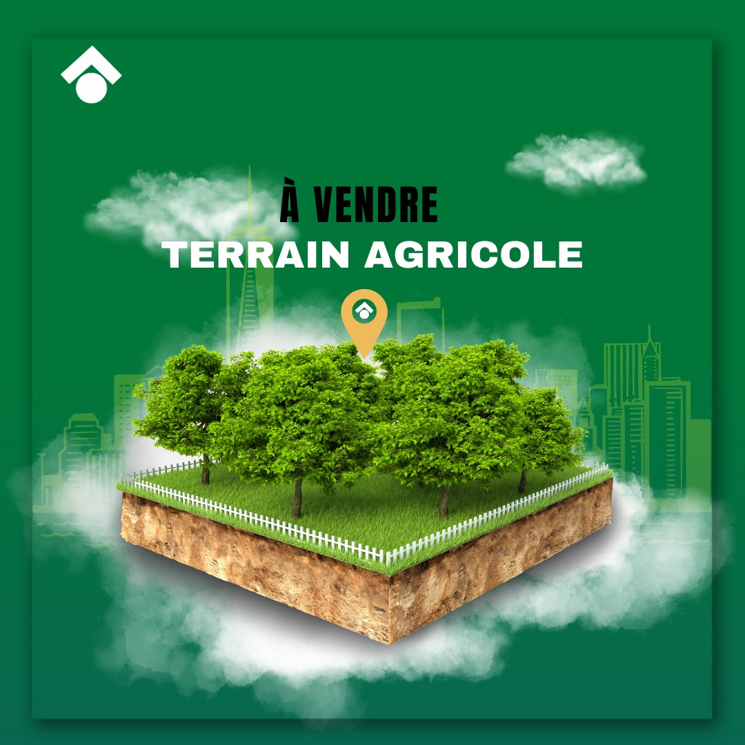 Terrain Terrain agricole