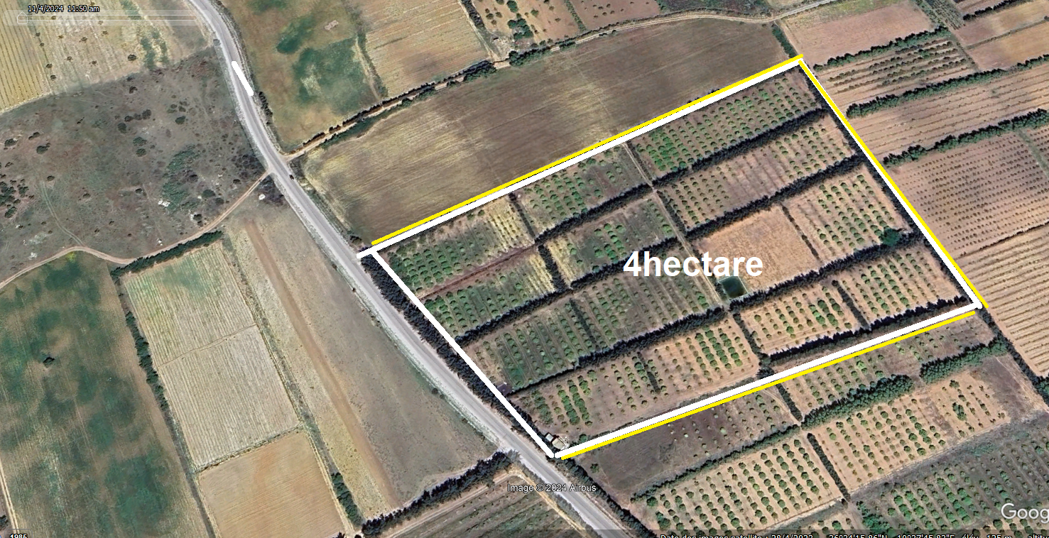 Bou Argoub El Kharrouba Terrain Terrain agricole 4 hectare el goba nabeul