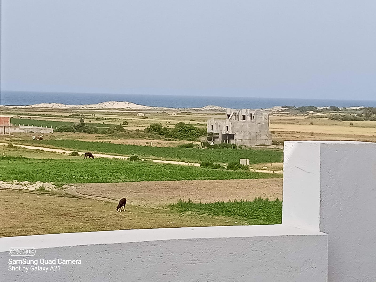 Kelibia Kelibia Vente Maisons Villa avec piscine vue mer