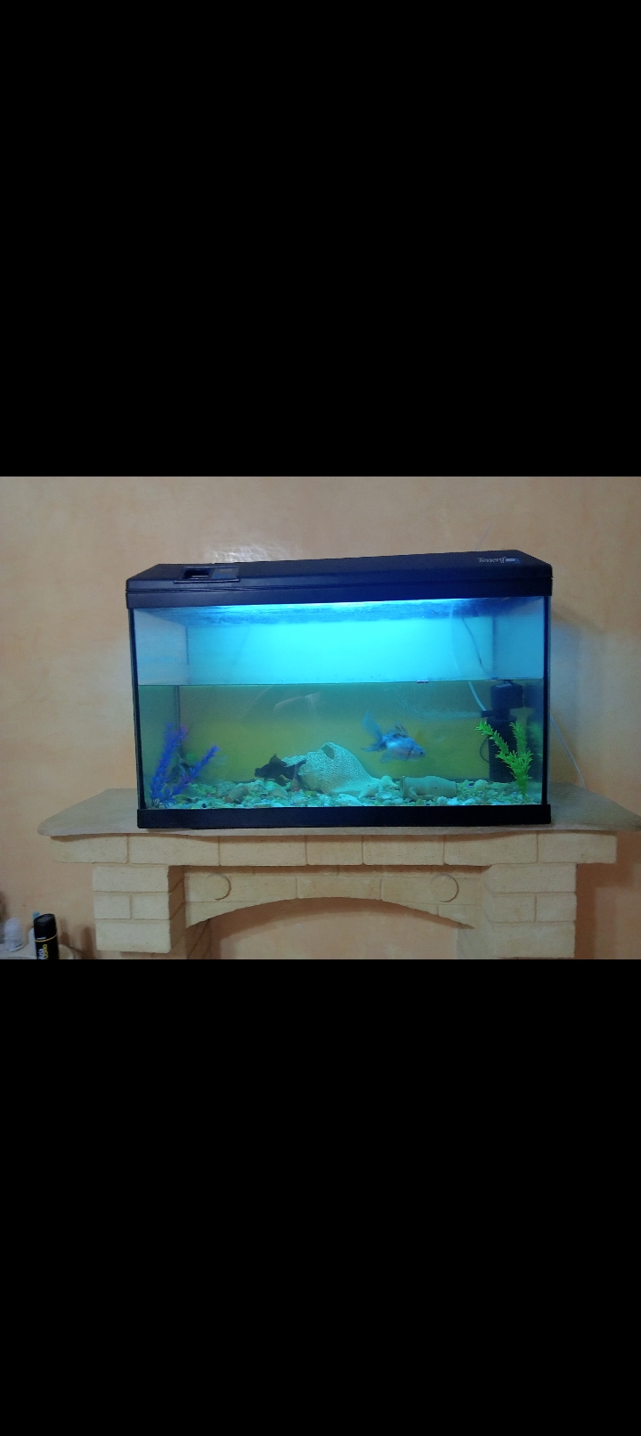 El Omrane Superieur El Omrane Superieur Accessoires Autre Aquarium d'eau