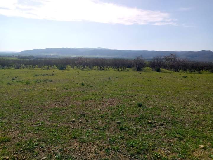 Tebourba Chouigui Terrain Terrain agricole Terrain agricole