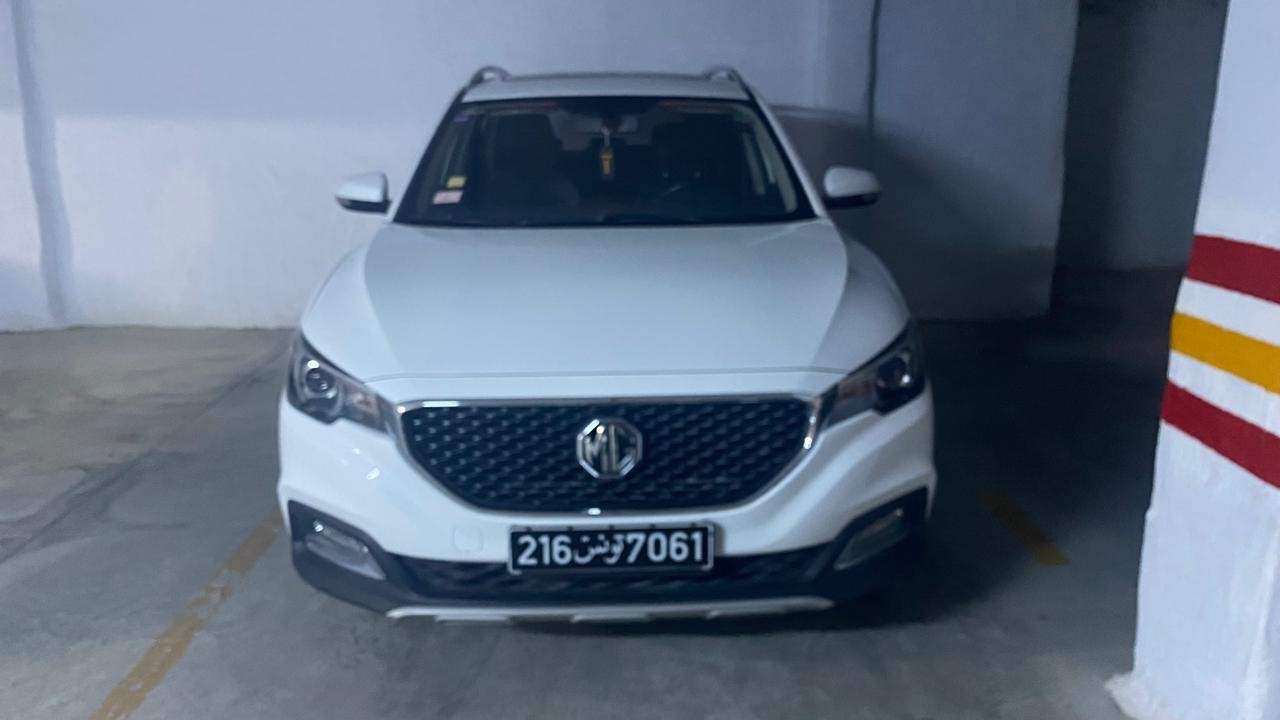 Mg ZS