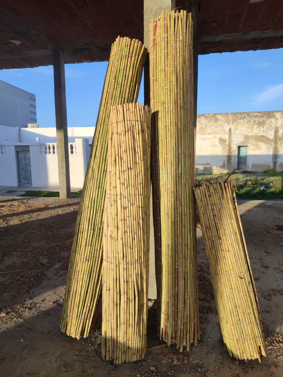 El Haouaria El Haouaria Jardinage Autre Cannisse pour dcoration