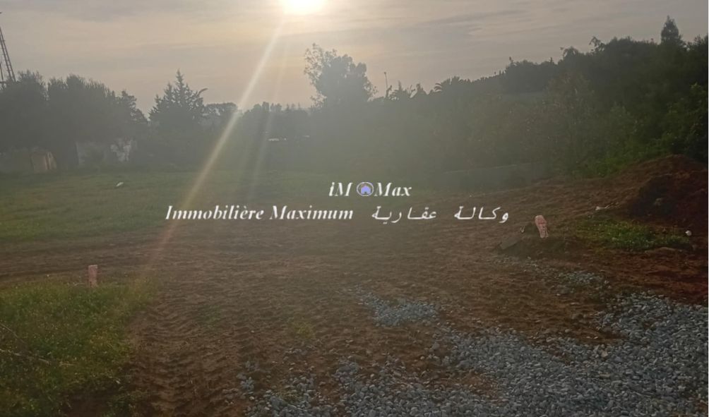 Hammamet Hammamet Terrain Terrain nu Des terrains zone craxy au prix exceptionnel