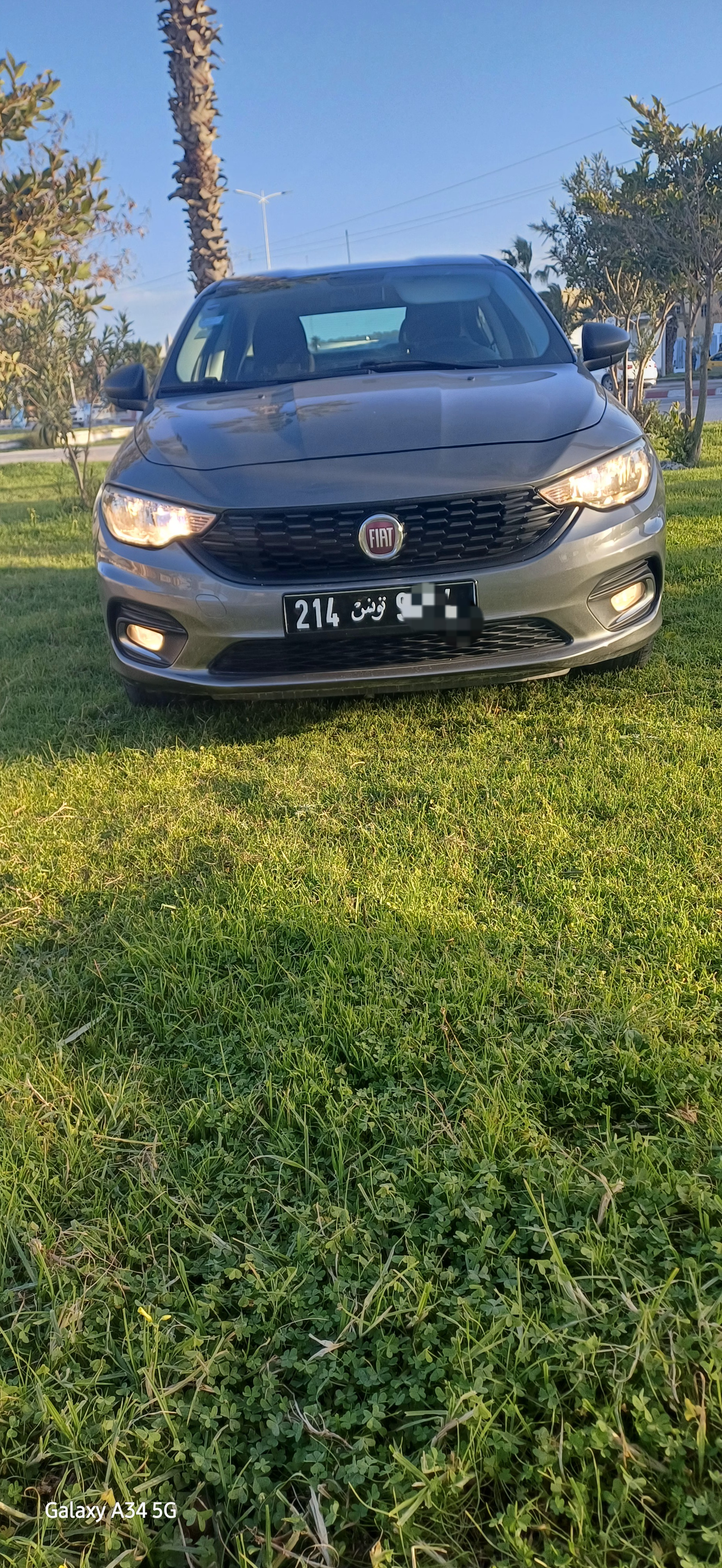 Bizerte Nord Bizerte Fiat Tipo Belle fiat tipo